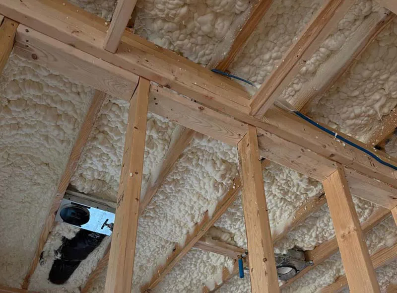 Spray foam insulation, in home's ceiling.