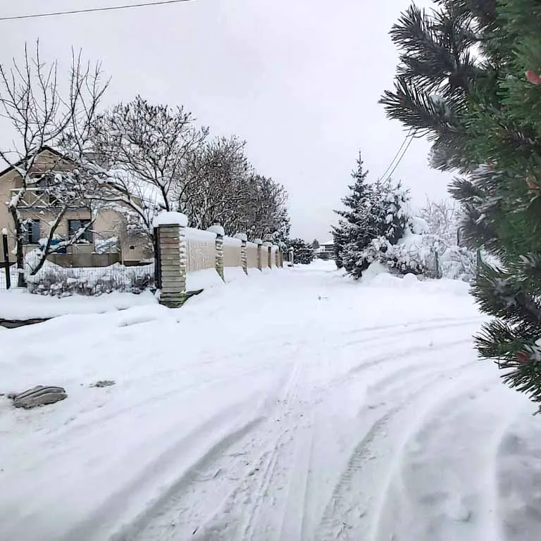 Snow blankets a quiet suburban street.